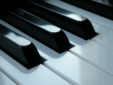 This macro photo of a piano keyboard was taken by Gabriele Bianco of Macomer, Italy.